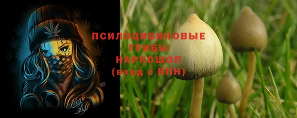 ECSTASY Аркадак