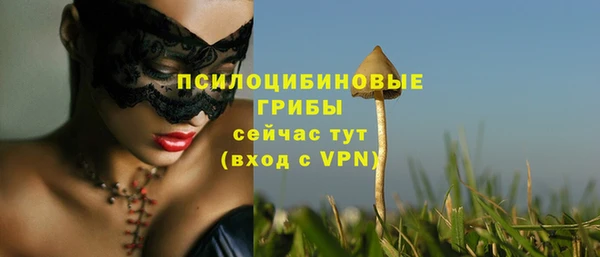 ECSTASY Аркадак