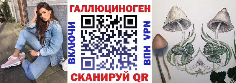 Псилоцибиновые грибы Magic Shrooms  ссылка на мегу как зайти  Унеча  что такое наркотик 