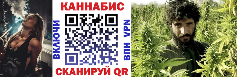 Шишки марихуана AK-47  где купить наркоту  mega ONION  Унеча 